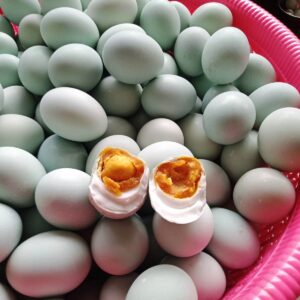 pusattelurcom 1 Telur Asin per 10 btr