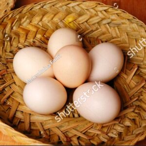 telur ayam negri pusattelurcm Telur Ayam Kampung per 10 btr