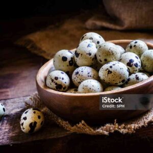 telur puyuh pusat telurcom Telur Puyuh perkilo